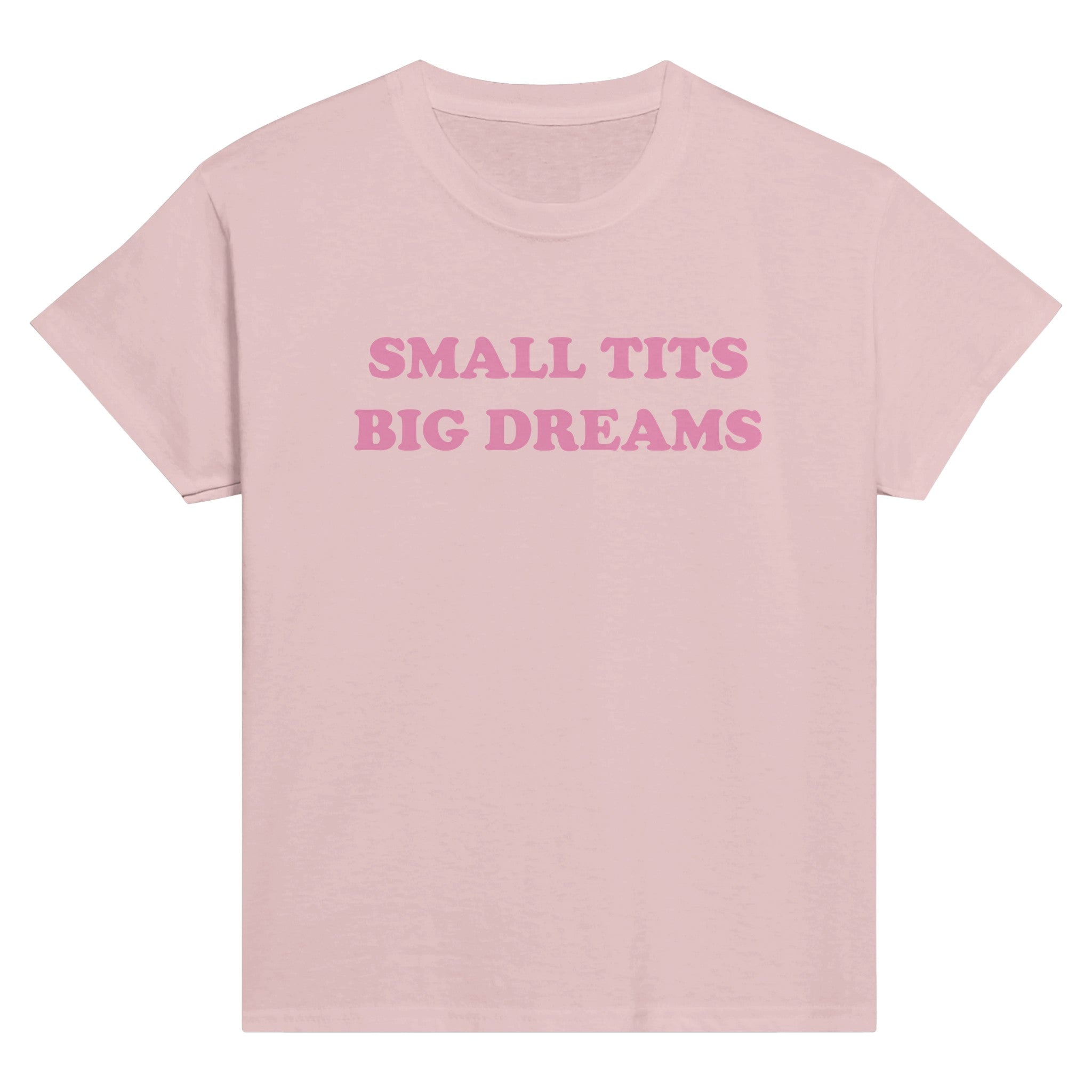 SMALL TITS BIG DREAMS BABY TEE